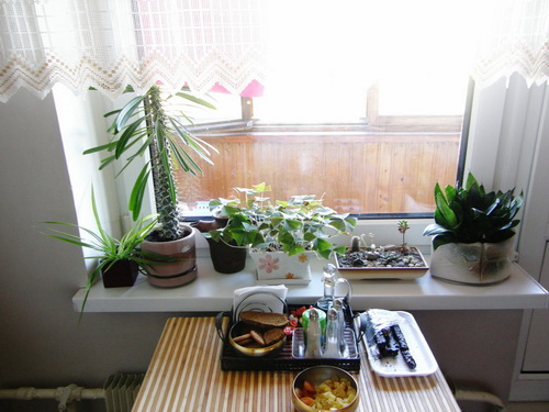 Лучшее украшение – цветы в интерьере кухни: фото отличных решений для вашего дома